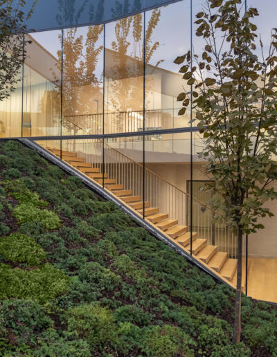 Hill foliage on side of modern home.